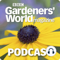 Monty Don on Designing a Small Garden