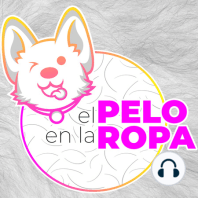 Episodio 00 - ¿Qué es El Pelo en la Ropa?