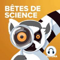 La pieuvre mimétique sait imiter plus de 15 animaux