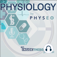 The "Lost" Final Physiology by Physeo Series: Diabetes Mellitus