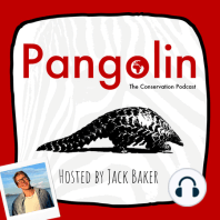 Introducing 'Pangolin: The Conservation Podcast' & 'ReZOO'! (Trailer)
