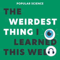 Vampire Epidemics, Parasitic Mind Control, Sasquatch Science