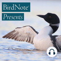 Introducing BirdNote Presents