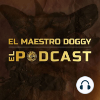 Bienvenidos a El Maestro Doggy El Podcast