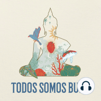 TODOS SOMOS BUDA | MEDITACIÓN SEMANAL 01