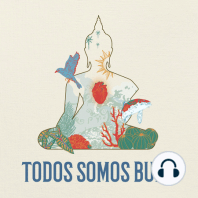 TODOS SOMOS BUDA | MEDITACIÓN SEMANAL 02