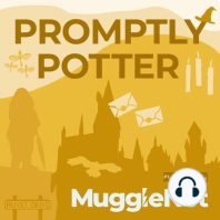 Episode 4: Harry, Yer a Wizard
