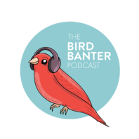 The Bird Banter Podcast: A Brief Hello from Casablanca