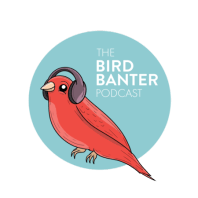 The Bird Banter Podcast: Birding Near Merzouga in the Sahara Desert