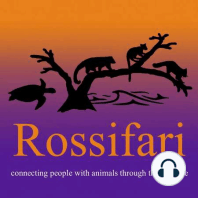 027 - The Rossifari Spooky Spectacular Part 1 with Kelsey Castrogiovanni of Elmwood Park Zoo