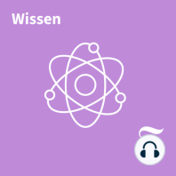 Wie hart trifft die Energiekrise die Spitzenforschung?