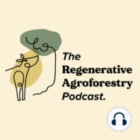 #49 The potential of agroforestry in human scale regenerative enterprises with Richard Perkins