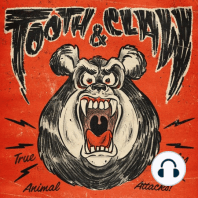 Bigfoot Attack!? - The Tooth and Claw Halloween Special featuring Bigfoot Collectors Club