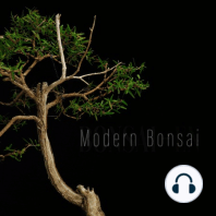 Modern Bonsai Episode 15 " Kenzo Bonsai " Ft Martin Walters