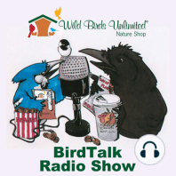 Bird Talk With Scott and Dave Menough and Dean Seifert 11-5-29