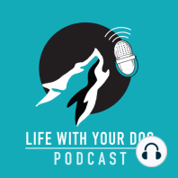 Ep24 - What Dogs Have Taught Me (Four-Legged Therapists For People!)