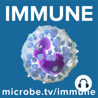 Immune 61: Training immune cells with Julia Bohannon and Musa Mhlanga