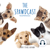 Sean Zyer of Earth Buddy: The Truth About How CBD & Medicinal Mushrooms Might Help Your Pet Episode 19