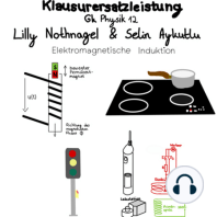 Physik des Alltags leicht erklärt mit Selin und Lilly