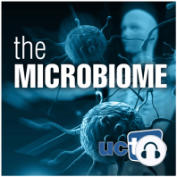 They Are What You Eat - How Food and Drugs Interact with the Gut Microbiome