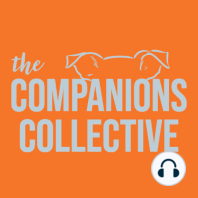 Episode 9: The Art of Helping Senior Dogs in Need