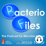 393: Prokaryote Partner Prevents Pathogen Potency