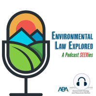 Environmental Laws and Regulations for Emerging Microplastics Concerns Series: Episode 1 - Fundamentals and Definitions