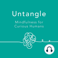 Dani Shapiro -  Meditation Helps Us Uncover Stories In Our Lives