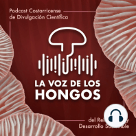 Cuña Podcast La Voz de los Hongos