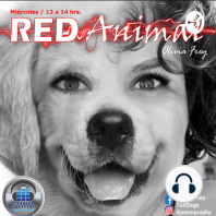 RED ANIMAL CON OLIVIA FREY / ANIMALES CON CAPACIDADES EXTRAORDINARIAS , EN MEMORIA A ARCHIE