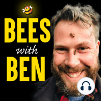 PODCAST EPISODE 16: Richard Noel, beekeeper, business owner, and all-round interesting chap, Brittany, France