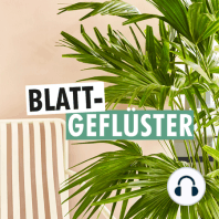 #6 Plantfluencer und Cat Content mit Friederike Fox