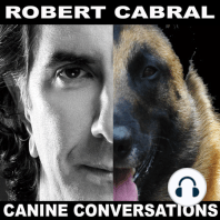 Episode 105 - Service Dogs, The Real Ones, the Fake Ones and Getting Down to the Nitty Gritty
