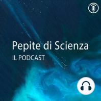 La roccia più vecchia del mondo