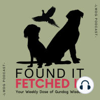 67: Living with a Gundog, how day-to-day life affects their training