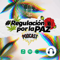 ¿Qué pasó en el Senado con la votación de cannabis?