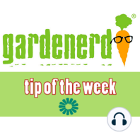 Podcast: Raised Bed Gardening with Conor Fitzpatrick