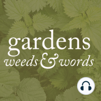 S01 Episode 01: September. Wondering why we make gardens, and chatting with Jane Perrone.
