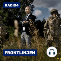 Malisk stats-tv: Danske soldater uønsket i Mali