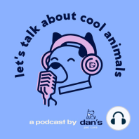 COOL ANIMAL PEOPLE! Ep. 8 - Leigh D'Angelo