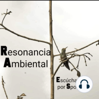 Resonancia ambiental (Trailer)