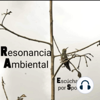 Análisis de los recursos hidricos y el uso de modelos matemáticos con Dr. Water (PhD Marco Morales)