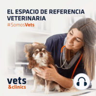 61. Caso clínico de enfermedad hepática canina con Luis Feo