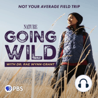 Women Who Travel Podcast: Hiking Patagonia, Life in ‘Cold Hawaii,’ and More