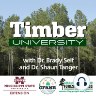Ep 04 | Best Management Practices for Mississippi Forests