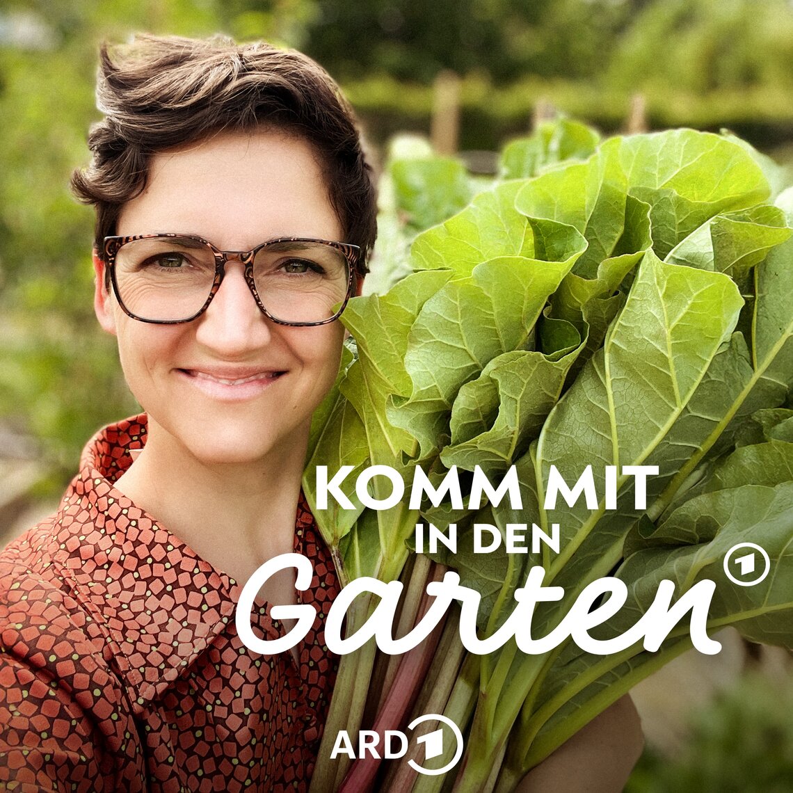 03 Kompost selber bauen Komm mit in den Garten Der MDR Garten
