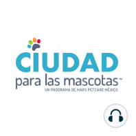 Beneficios de las mascotas en las personas. Ep 4 - Las mascotas y padecimientos como Alzheimer y Autismo