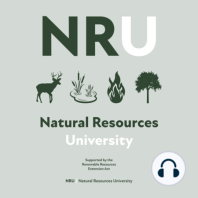#15 | Deer University - Timing of prescribed fire impacts deer forage quality and selection? ft. Rainer Nichols