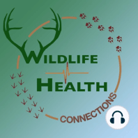 #8: Dr. Mark Johnson- Stories and Wisdom from 35 Years of Wildlife Capture & Handling