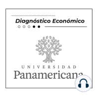 Diagnóstico Económico E.2 T.11